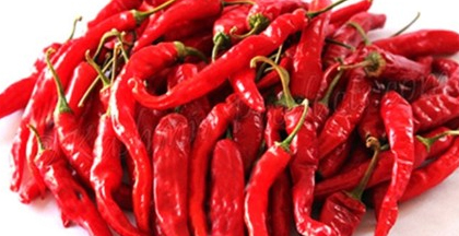 Kashmir Chili