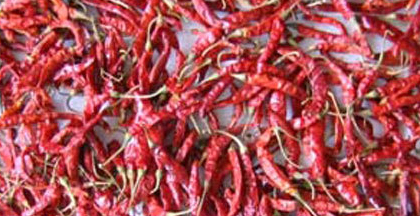 Ellachipur Sannam-S4